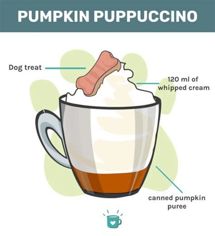 How often can a dog have a Puppuccino?