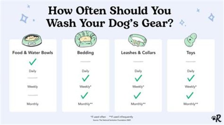 How often should I wash my dogs toys?