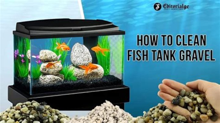 How often should you change the gravel in a fish tank?
