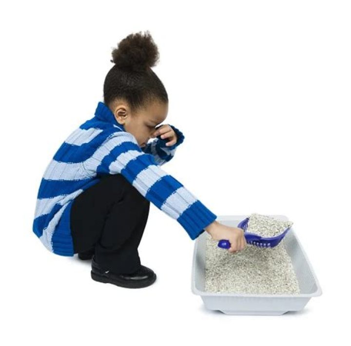 How often should you scoop a cat litter box?