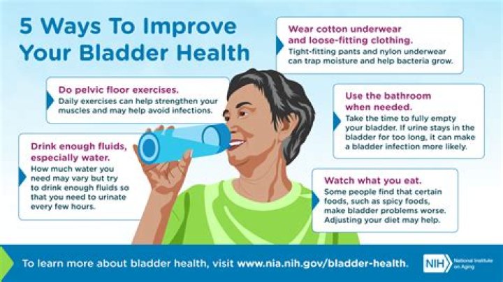 How often should you urinate after drinking water?