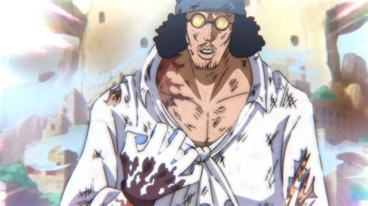 How old is aokiji One Piece?