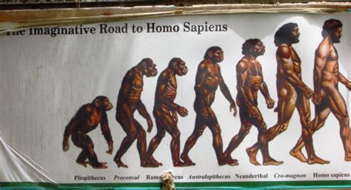 How was the first human born?