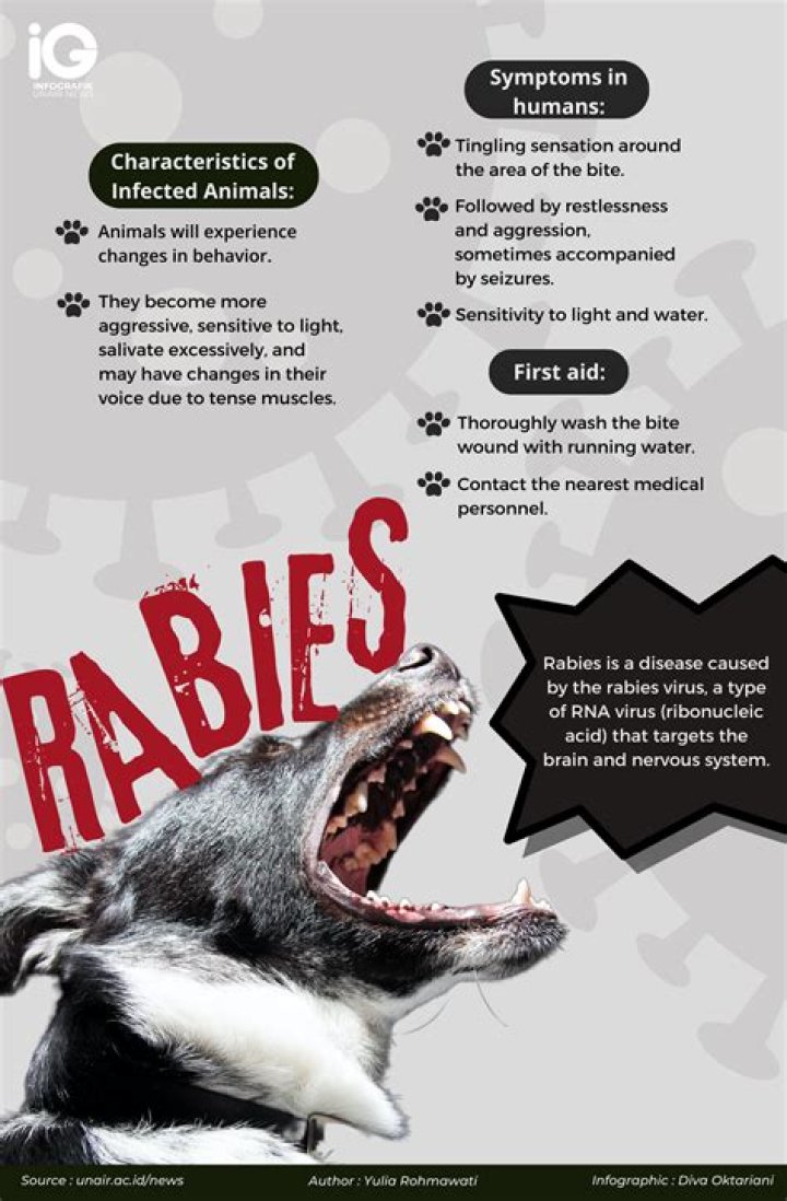 How will I know if I have rabies?