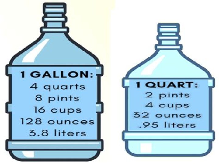 Is 1 gallon enough for a betta?
