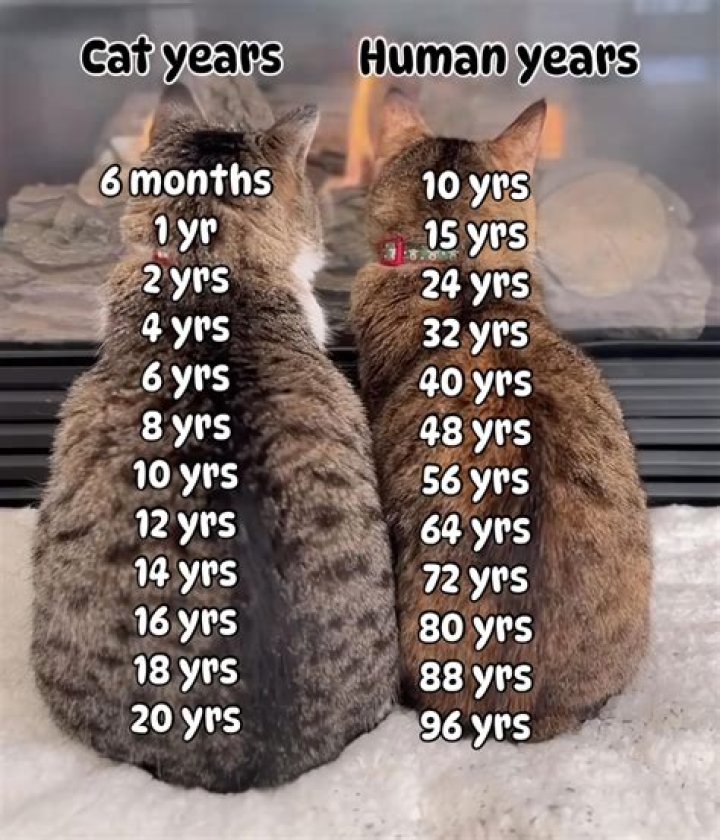 Is 15 years old a kid?