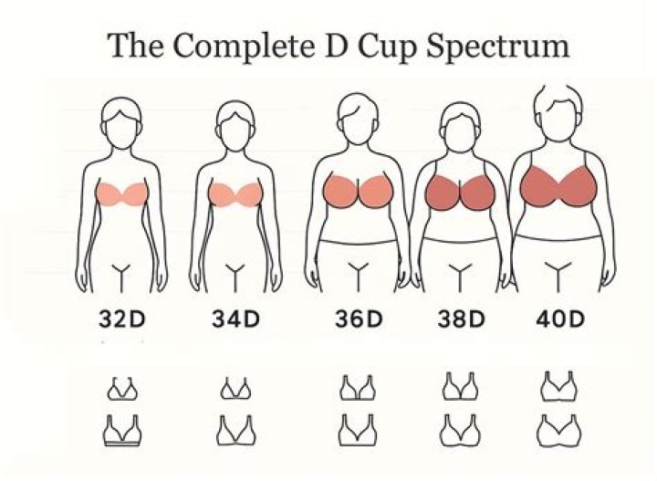 Is 34C bigger than 32D?