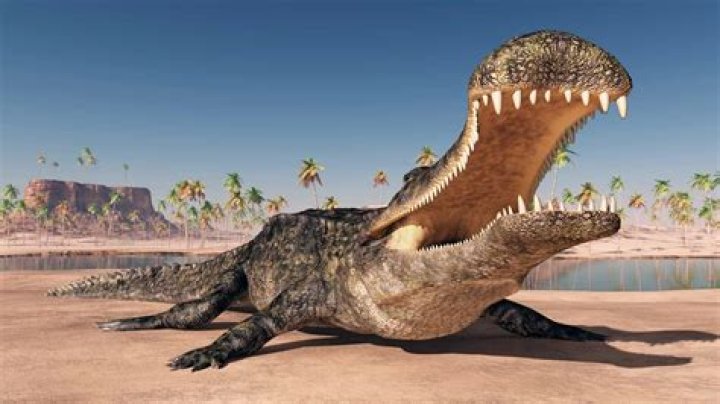 Is a crocodile a dinosaur?