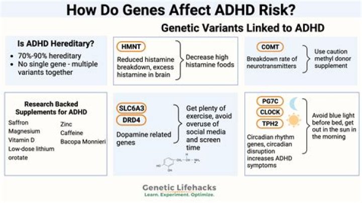 Is ADHD genetic?