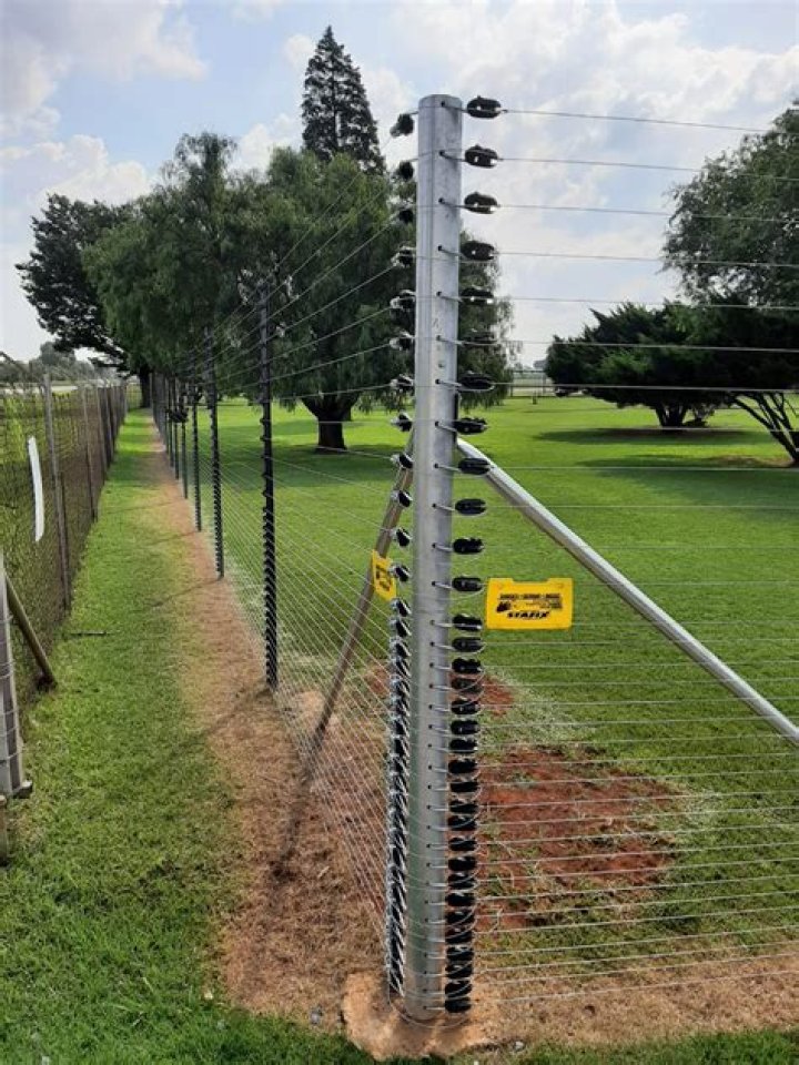 Is an electric fence cruel?