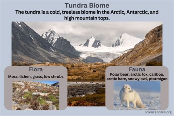 Is Antarctica a tundra biome?