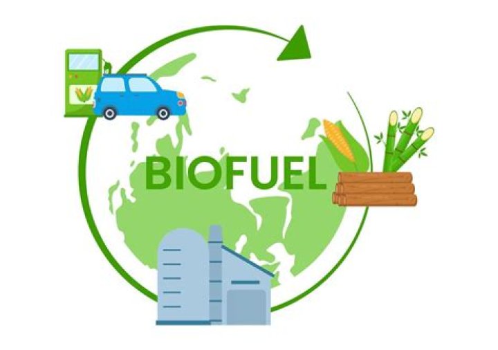 Is biofuel really green?