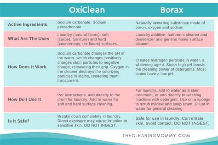 Is borax and OxiClean the same thing?
