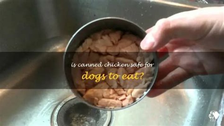 Is canned chicken safe for dogs?