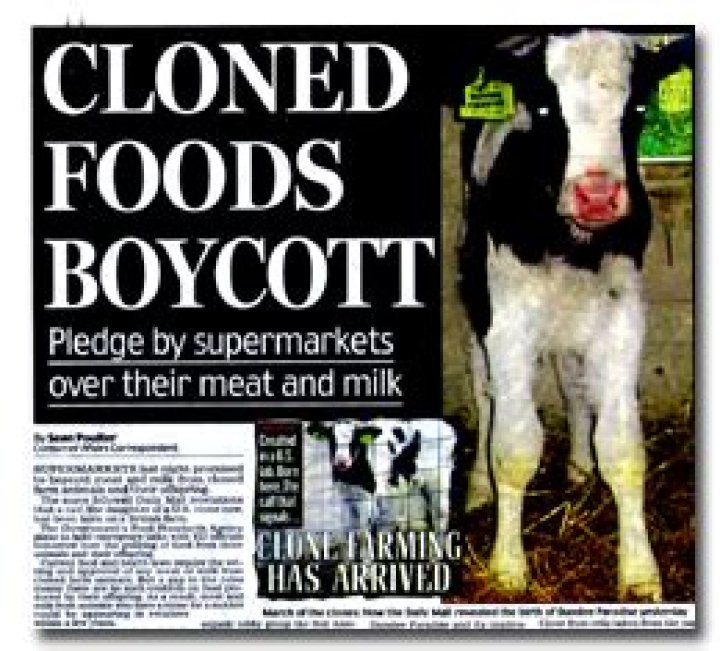 Is cloned food safe to eat?