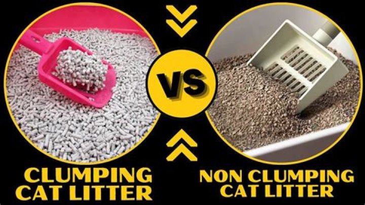 Is clumping litter better?