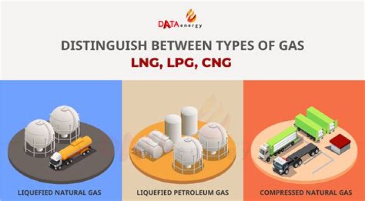 Is CNG successful in EcoSport?