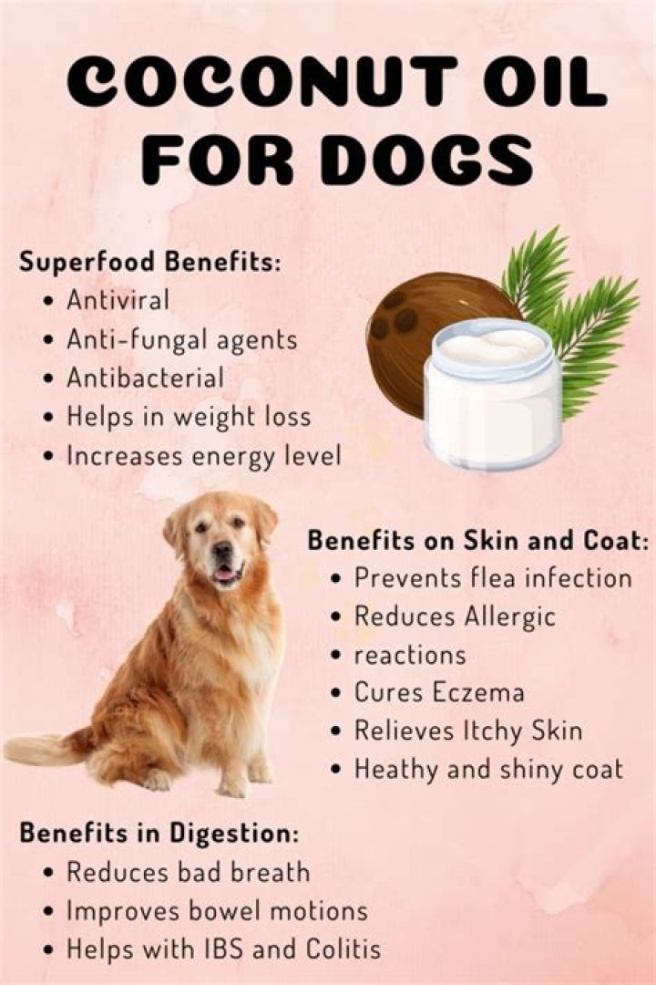 Is coconut oil safe for dogs skin?