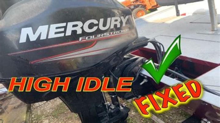 Is conch high in mercury?