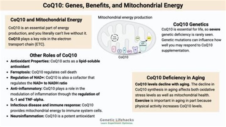 Is coq10 good for autoimmune disease?