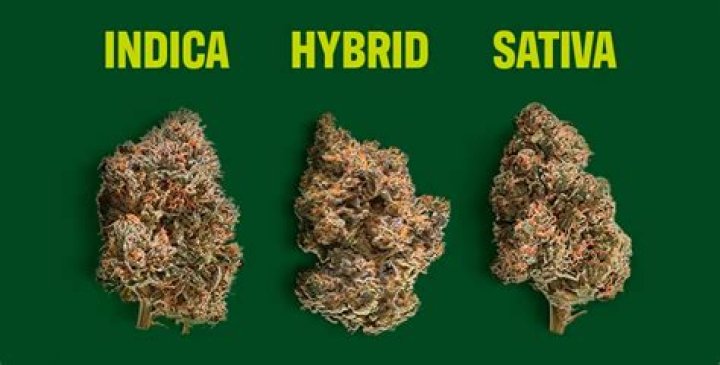 Is delta-8 more like indica or Sativa?