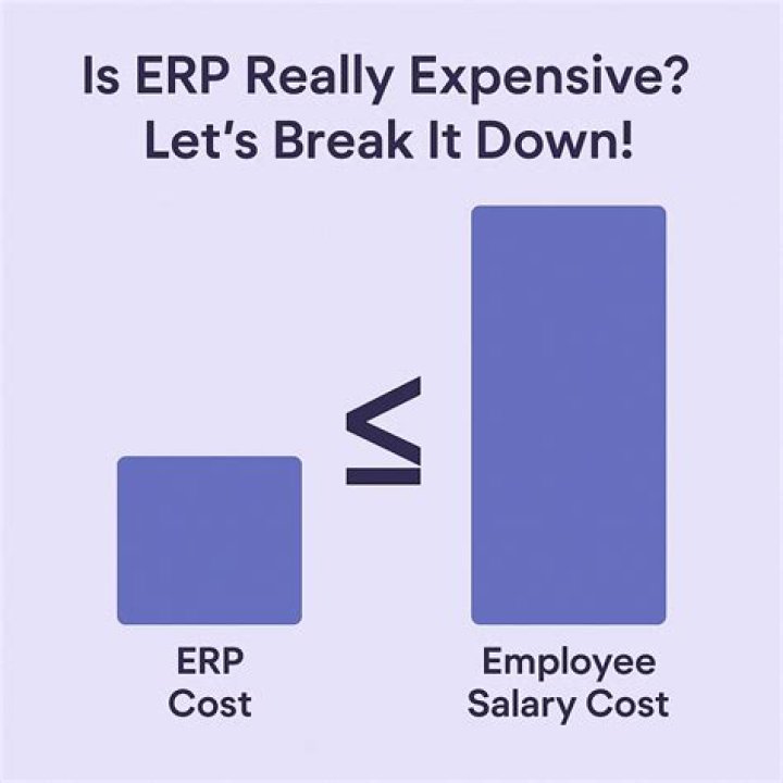 Is ERP expensive?