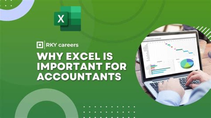 Is Excel important for accountants?