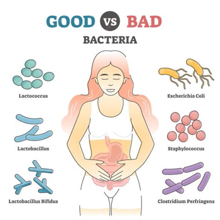 Is fasting good for gut bacteria?