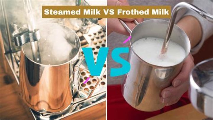 Is frothed milk the same as steamed milk?