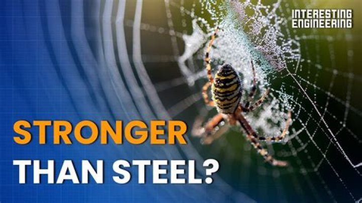 Is hair stronger than steel?