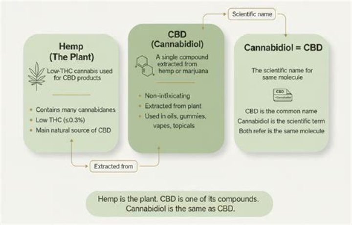 Is hemp the same as CBD?