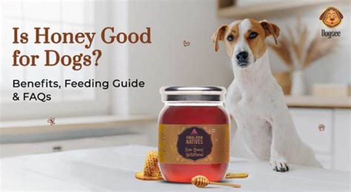 Is honey Good for tinnitus?