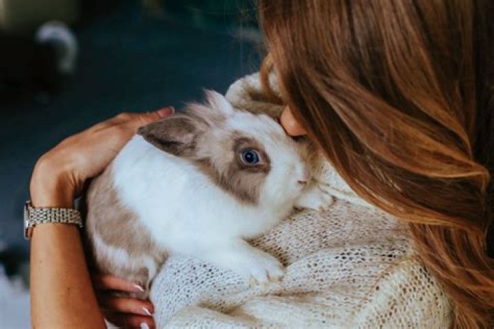 Is it better to bury or cremate your pet?