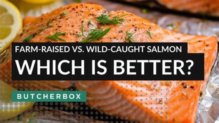 Is it better to buy farmed or wild salmon?