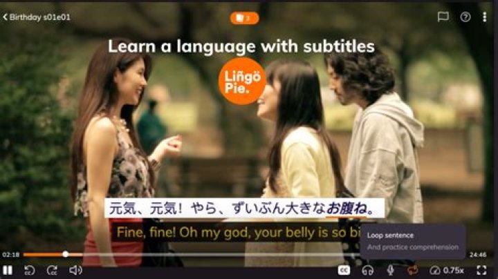 Is it better to learn a language with or without subtitles?