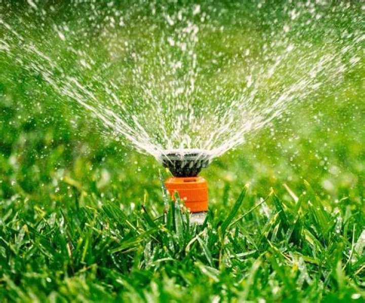 Is it better to water your lawn in the morning or at night?