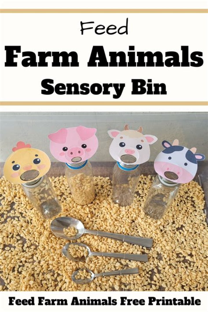 Is it normal for toddlers to be mean to animals?