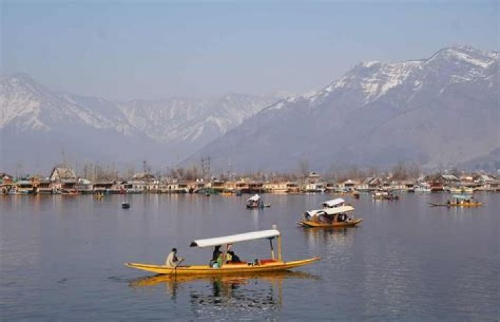 Is Kashmir honey good?