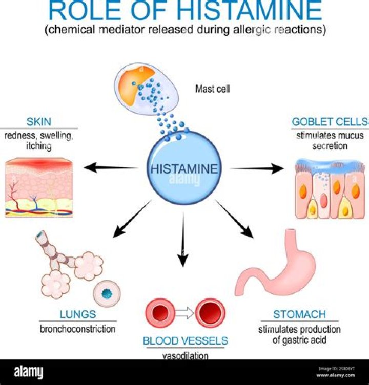 Is Lemon a histamine?