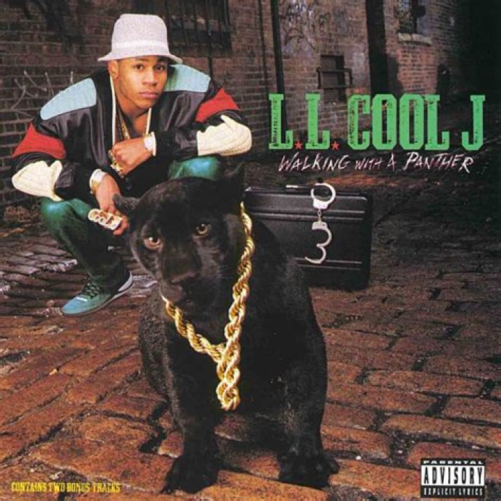 Is LL Cool J in the Hall of Fame?
