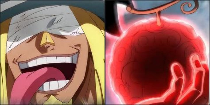 Is Luffy a Logia type?