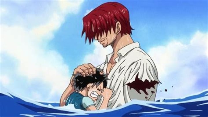 Is Luffy an orphan?