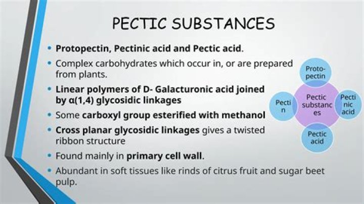 Is pectin and pectic enzyme the same?