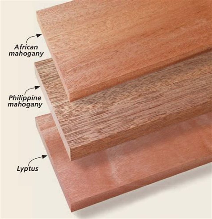 Is Philippine mahogany real mahogany?