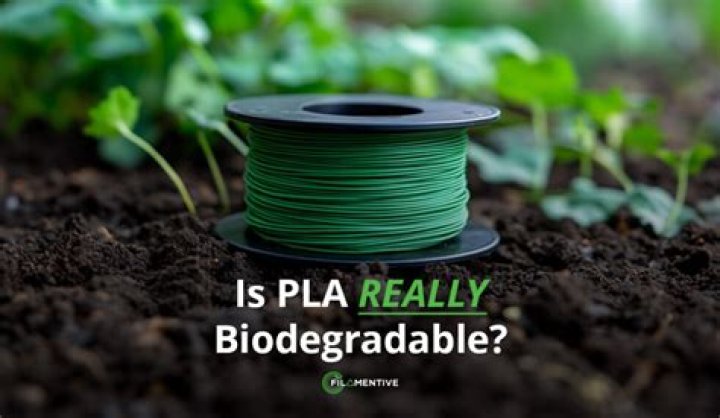Is PLA filament plant based?