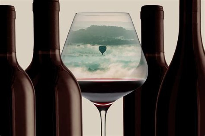 Is Shiraz more full bodied than Merlot?