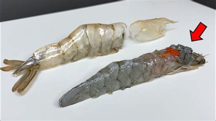 Is shrimp a fish or insect?