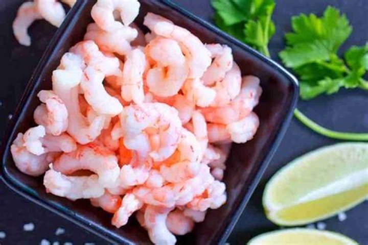 Is shrimp considered meat?