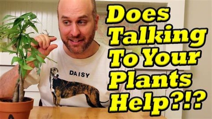 Is talking to plants good?