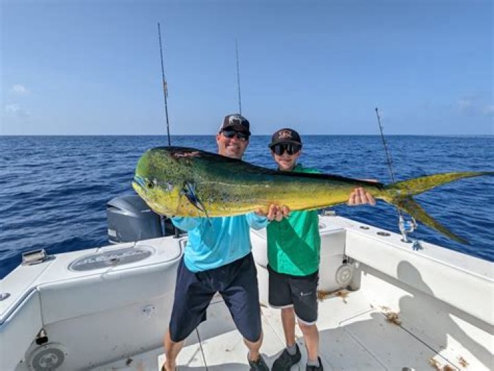 Is there a mahi-mahi shortage?